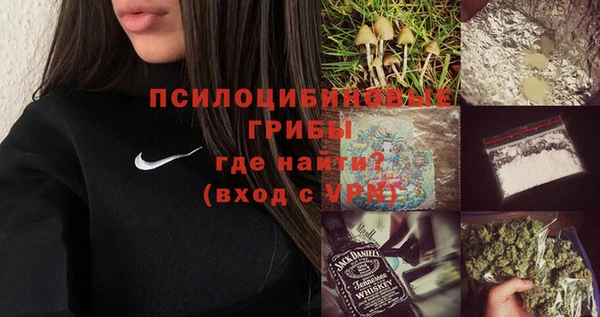 твердый Новокубанск