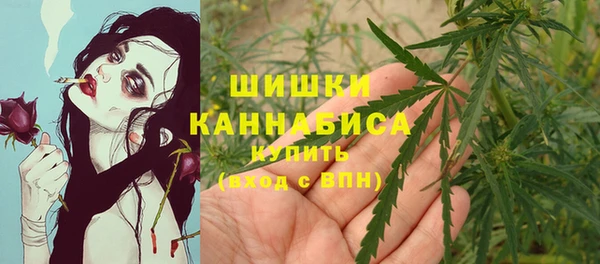 дурь Новозыбков