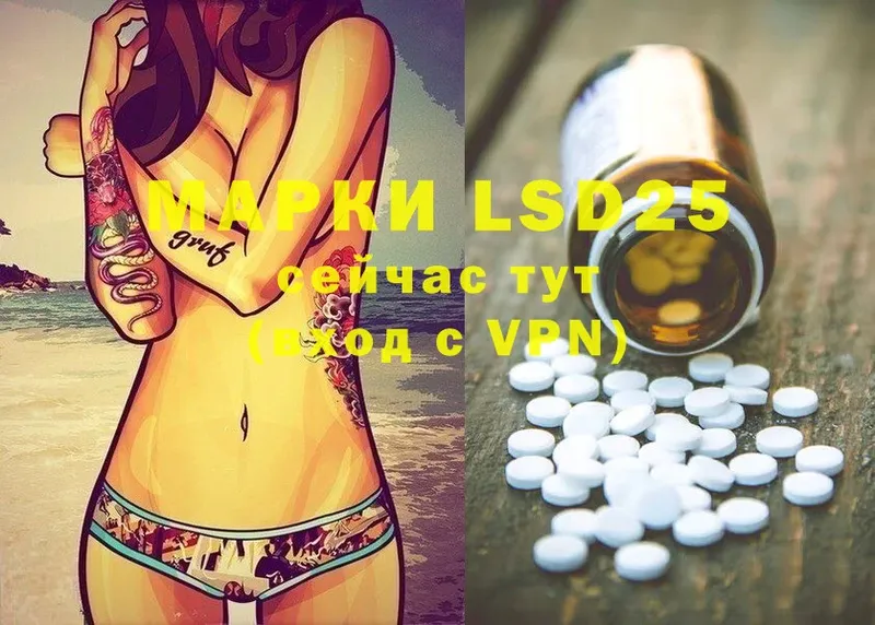 LSD-25 экстази ecstasy  где купить наркотик  Электрогорск 