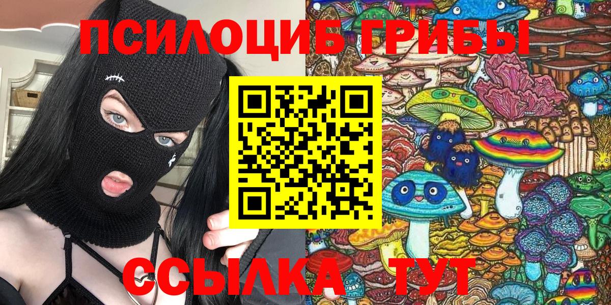 Электрогорск  Псилоцибиновые грибы Psilocybe  Вход с VPN  Галлюциногенные грибы Magic Shrooms 