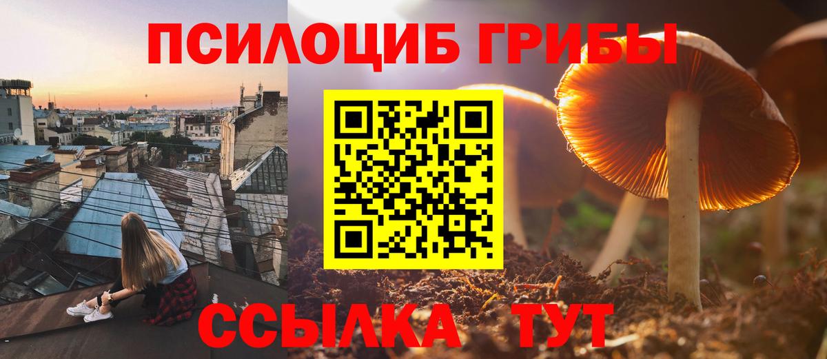 Псилоцибиновые грибы мицелий Электрогорск